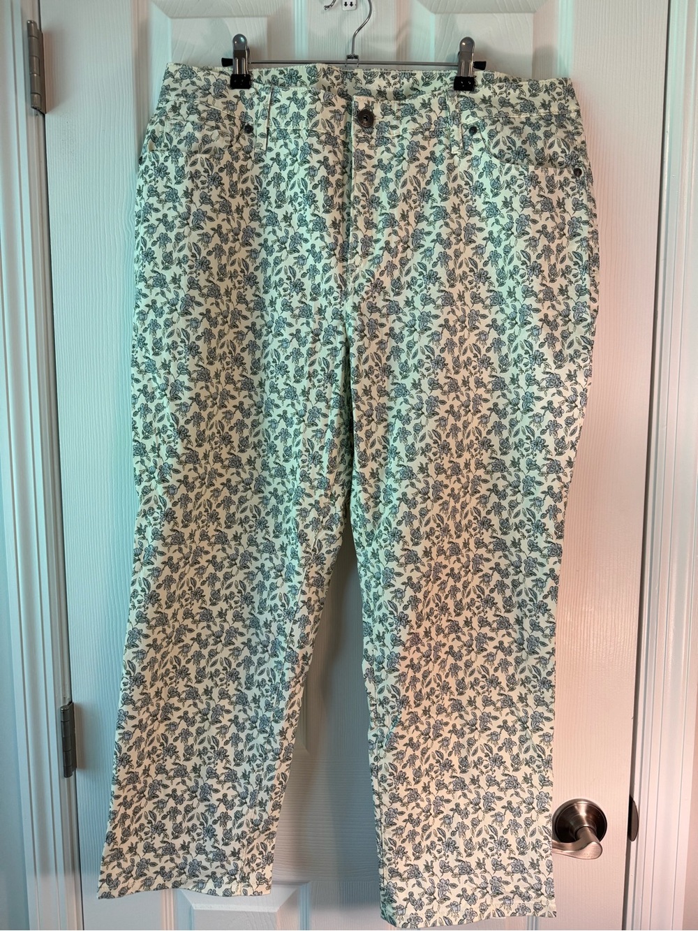 Style & Co. Cream Jeans with Blue Floral Print - Cropped Ankle